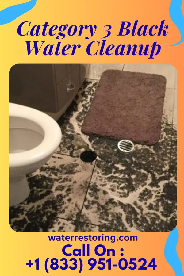 Category 3 Black Water Cleanup in Newburg, WI