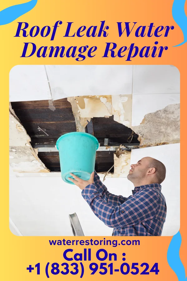 Roof Leak Water Damage Repair in Newburg, WI