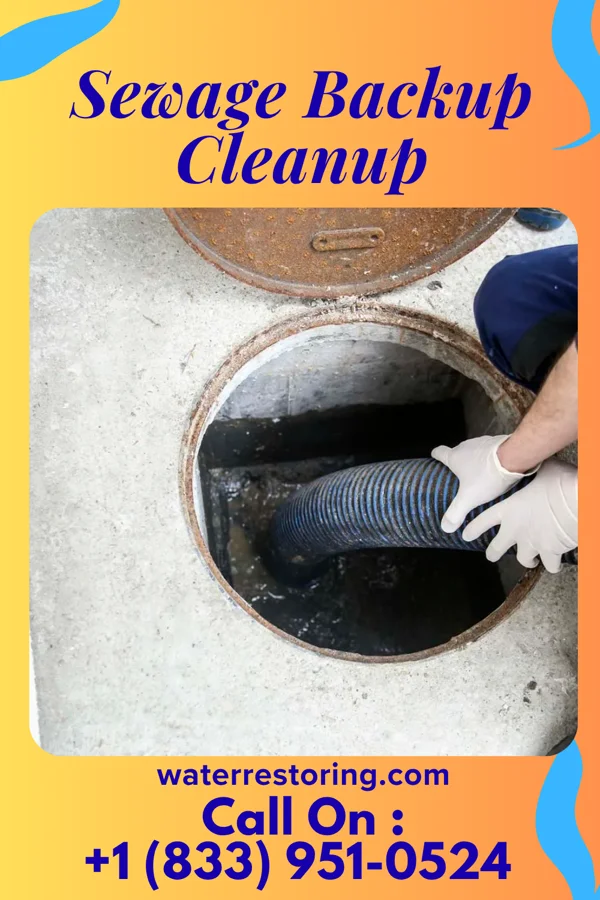 Sewage Backup Cleanup in Newburg, WI